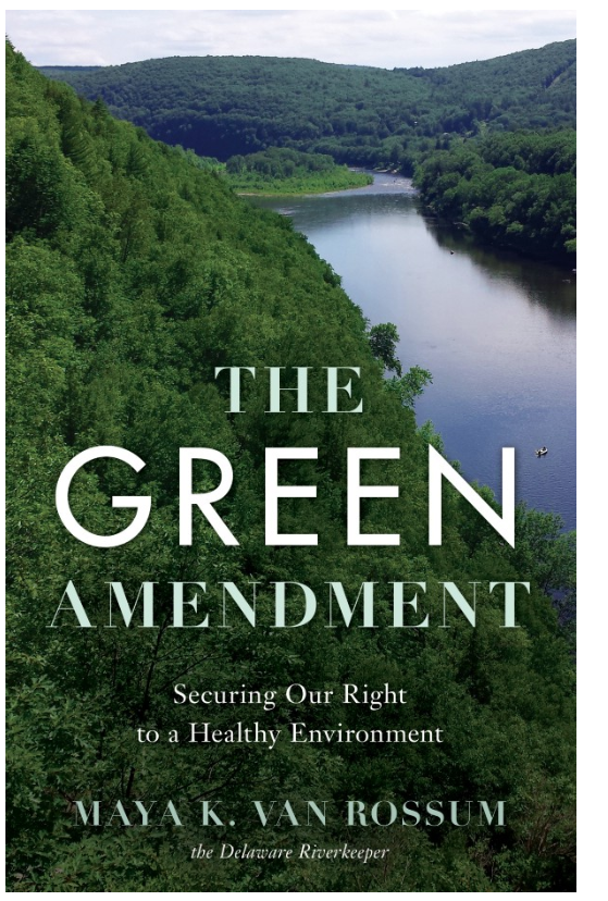 The green amendment book cover