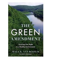 green amendment thumb